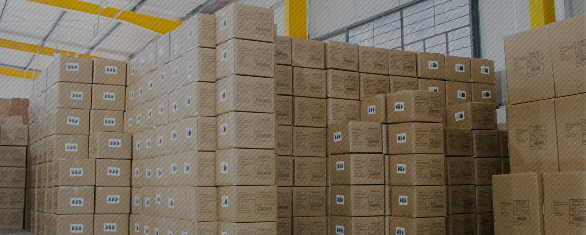 okay socks factory storehouse